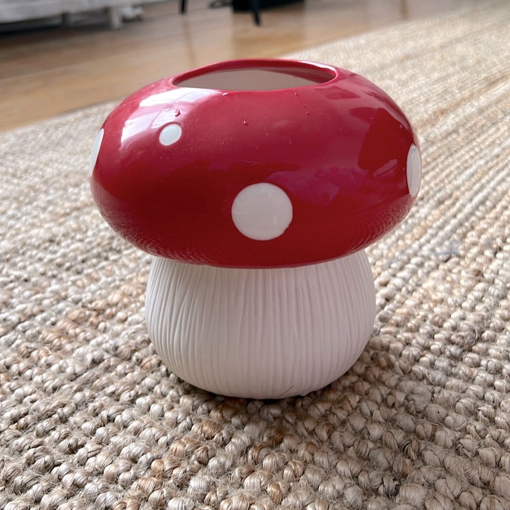 Mushroom Planter 3” Opening